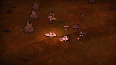 Don't Starve Together: Starter Pack 2024 PC Key Prices