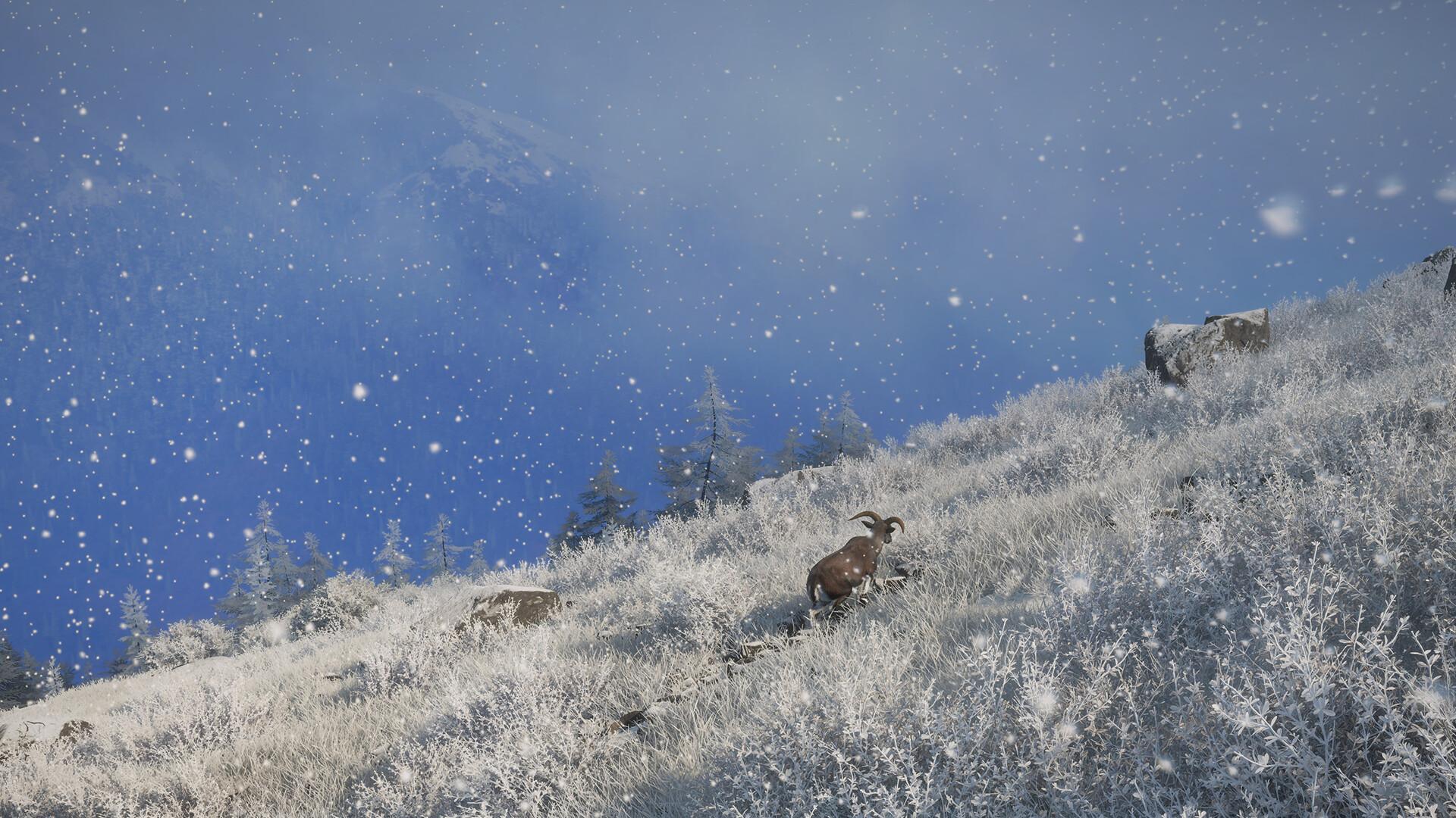 theHunter: Call of the Wild™ - Sundarpatan Nepal Hunting Reserve