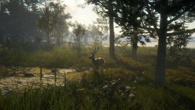 theHunter: Call of the Wild™ - Te Awaroa National Park