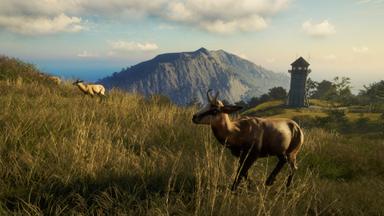 theHunter: Call of the Wild™ - Te Awaroa National Park