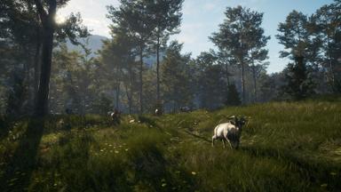 theHunter: Call of the Wild™ - Te Awaroa National Park Price Comparison