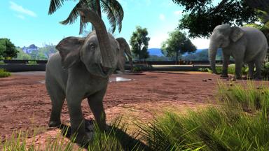 Zoo Tycoon: Ultimate Animal Collection PC Key Prices