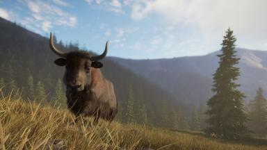 theHunter: Call of the Wild™ - Sundarpatan Nepal Hunting Reserve CD Key Prices for PC